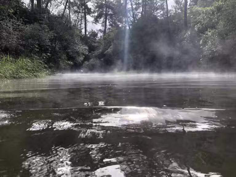 Waikato River Trails